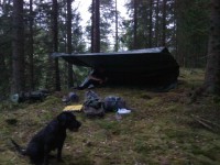 /album/bildgalleri1/a416168-10151109747152182-833593107-o-jpg/