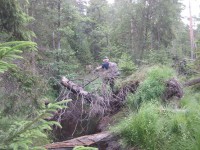 /album/bildgalleri1/a557904-10151109746357182-144668353-n-jpg/