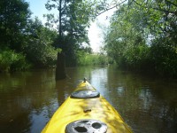 /album/bildgalleri1/a1102476-10151740223582182-1948364779-o-jpg/