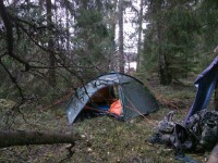 /album/bildgalleri1/a178204-10152225316392182-2217406592097550267-o-jpg/